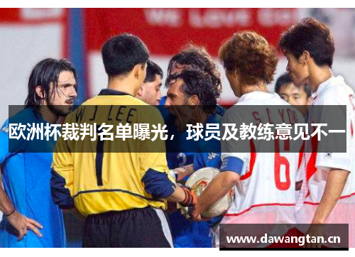 欧洲杯裁判名单曝光，球员及教练意见不一