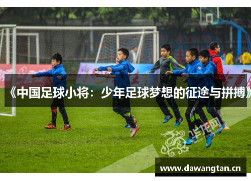 《中国足球小将：少年足球梦想的征途与拼搏》
